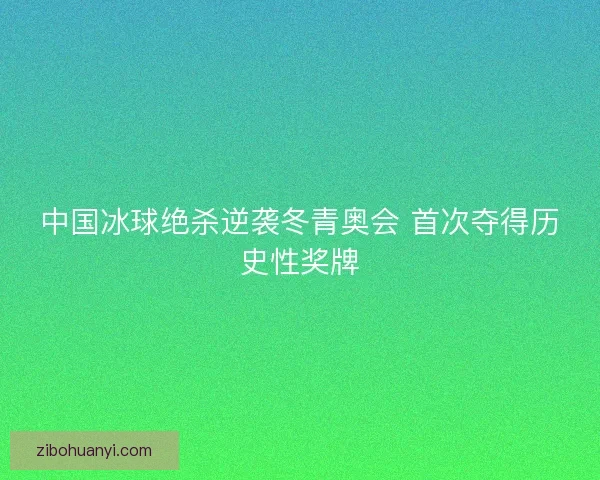 中国冰球绝杀逆袭冬青奥会 首次夺得历史性奖牌